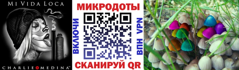 Псилоцибиновые грибы ЛСД  Будённовск 